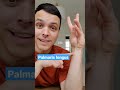 Understanding the Palmaris Longus Muscle