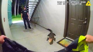 Florida Cops Face Off Against Angry Gator