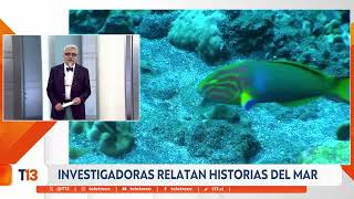 Investigadoras relatan historias del mar - Columna de ciencias en T13 Noche