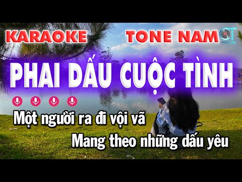 Phai Dấu Cuộc Tình Rumba Tone Nam – Nhạc Hoa Lời Việt – Làng Hoa Karaoke