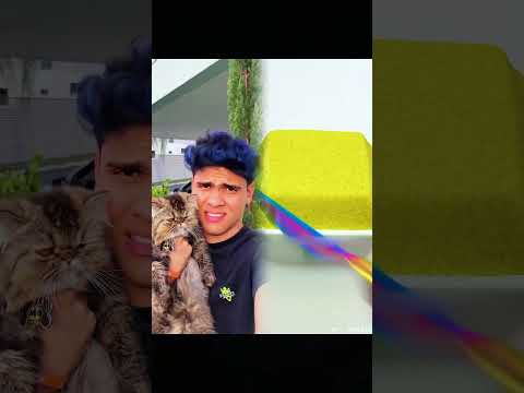 #animation #humor #butifyoucloseyoureyes #funny