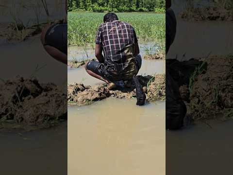 🤣🤣 পানিতে কি ছিল #shortvideo