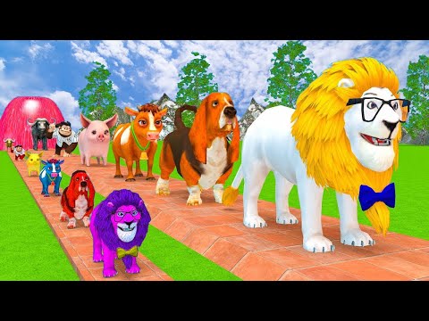 Long Slide Game With Lion Dog Cow Pig Monkey Buffalo - Funny 3d Animals