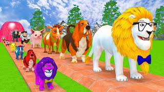 Long Slide Game With Lion Dog Cow Pig Monkey Buffalo - Funny 3d Animals