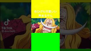 白ひげも可愛いい所あるやんwww
