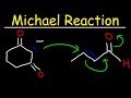 Understanding the Michael Reaction