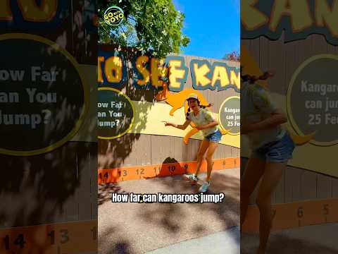 CAN I JUMP MORE THAN A KANGAROO?? 🦘🔥 #shorts #kidsvideo #kangaroo