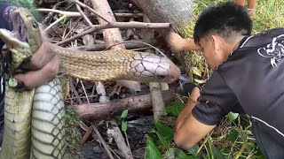 KING COBRA SA LUGAR NG NANAY NI MAYOR