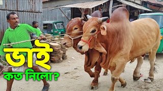 Bhai Koto Nilo? Paragram (Hozrotpur) Gorur Haat 2022 - Part 28 | Qurbani Cow Price in Bangladesh