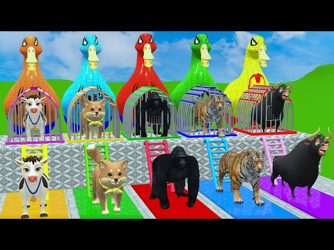 Long Slide Game With Cow Elephant Gorilla Hippopotamus Tiger 3d Animal Game Funny 3d Animals