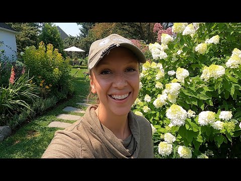 Seeding Fall Flowers and Checking on Sunflower Successions