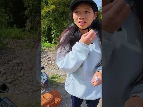 Hoảng loạn vì RƠI mất bạn ngồi sau xe? #motovlog  #travel #phuotthu
