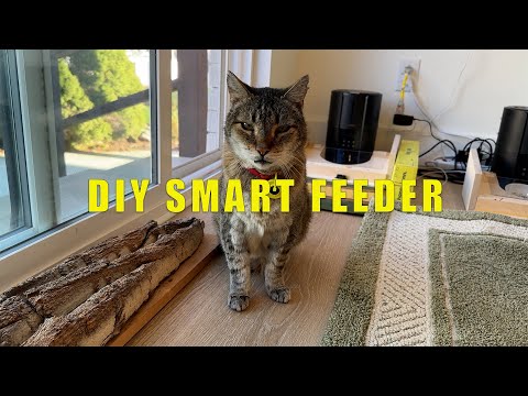DIY Smart Cat Feeder with RFID