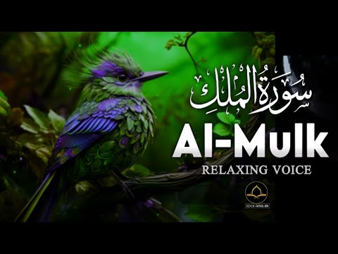 Surah Al Mulk سورة الملك | Relaxing Recitation Will Calm Your Soul إن شاء الله | 1001 AMALAN