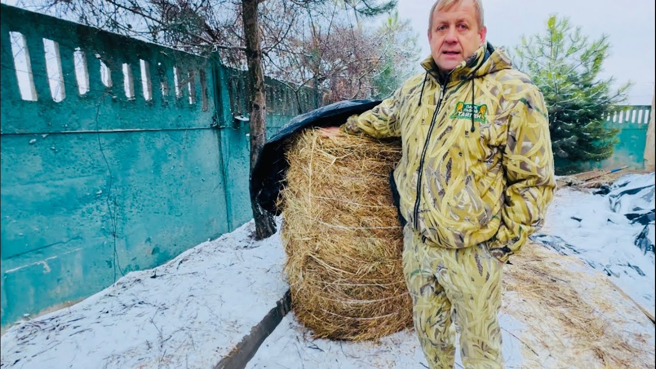 Олег Зубков показывает СКОЛЬКО всего едят слоны зимой!