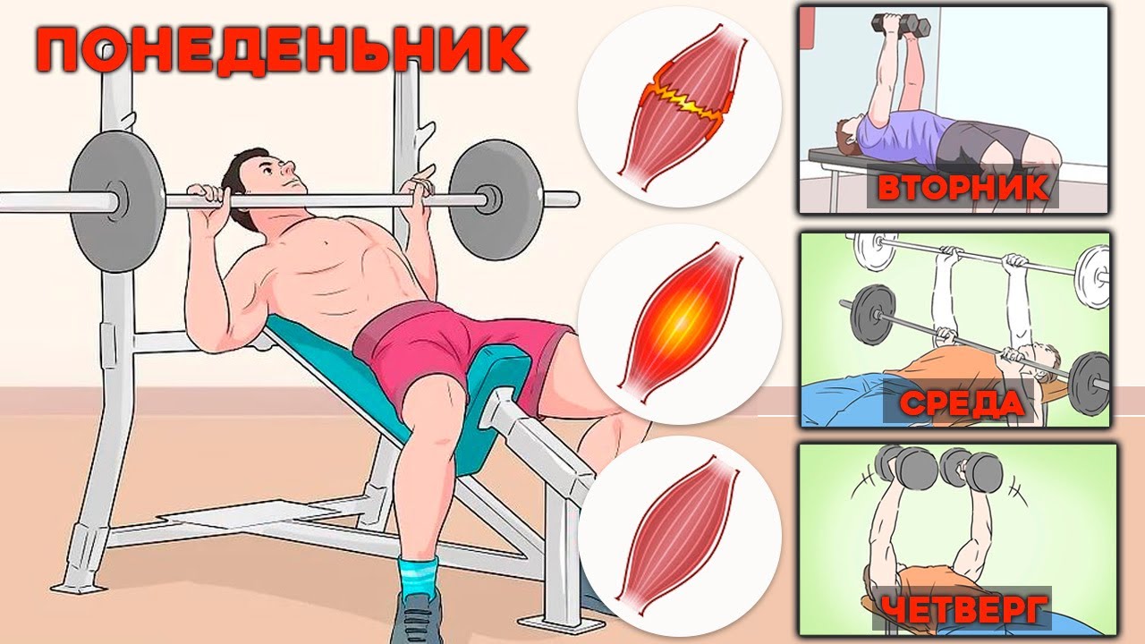Активное восстановление Ускоряет Рост Мышц
