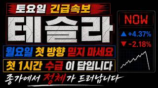 [테슬라] 월요일 첫 방향 믿지 마세요, 첫 1시간 수급이 답입니다