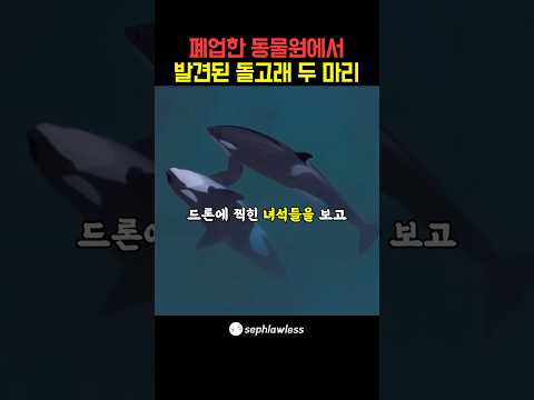 우연히 드론에 찍힌 폐업한 동물원의 실체