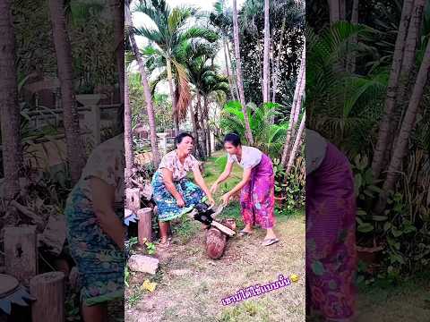 दो लड़कियों ने लकड़ी काटी… और हुआ कुछ ऐसा कि सब हंस पड़े 😂🔥 #funny