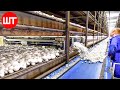 Mushroom Cultivation Practices and Techniques