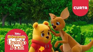 Brincando com o Ursinho Pooh | Can e o Esconde-esconde