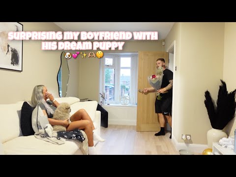 i surprised my boyfriend with his dream puppy 🐶🫶🏼✨🤫💕