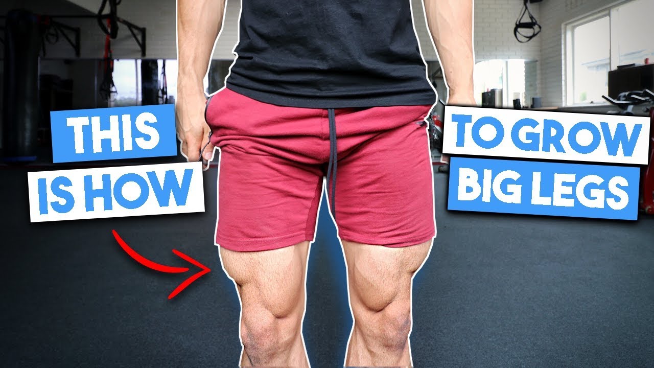 This is how i grew big legs - full leg workout - Fraser Wilson