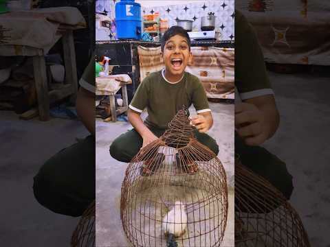 Monu Ne Rabbit Ko Pakda 🤣 Lekin Bechare Sonu Ki Toh Watt Lag Gayi | Funny video #shorts
