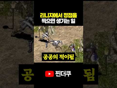 리니지에서 정점을 찍으면 생기는 일