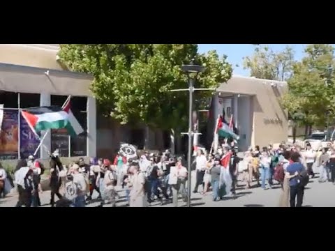 VIDEO STORY: UNM students hold walkout for Palestine