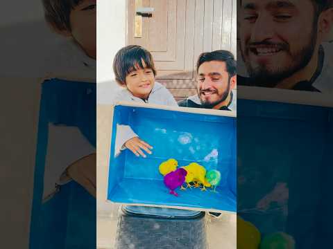 Alag Color Wala Chooza Uthain Aur Inam Ly Jain #funny #shortvideo #challenge #funnycomedy