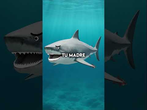 La vida como megalodón es más brutal de lo que crees 😳