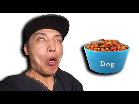 NTN - Thử Ăn Thức Ăn Của CHÓ