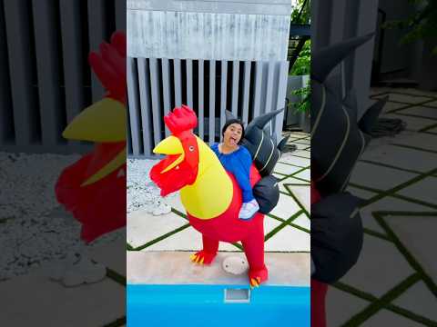 Broma de la gallina gigante a mi novio ?