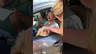 Helping Fill Bowls for Pets in Need