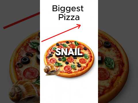 Slow Snail 🐌 vs. Fast Blackbird ✈️ – Pizza vs. Italy Showdown! 🍕🇮🇹