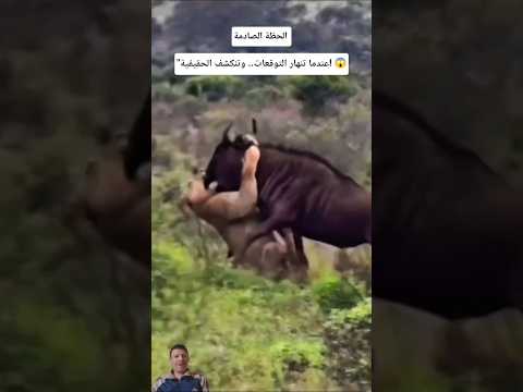 لحظات صادمة:تنهار فيها التوقعات الأخيرة!#shorts