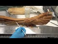 Lower Extremity Arteries and Nerves
