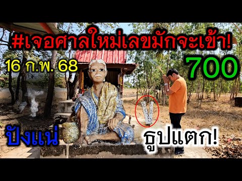 ล่าสุดปังเเน่! 700 #เลขธูปเเตก! อย่าพลาดเด็ดขาด! #เจอศาลใหม่#เลขมักจะเข้า#ปู่ตาอาสามารถ 16 ก.พ.68