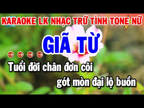 Liên Khúc Karaoke Nhạc Trữ Tình Tone Nữ Dễ Hát | Gĩa Từ – Nhớ Nhau Hoài | Thanh Hải