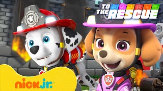 PAW Patrol Air & Fire Rescue to the Rescue! 🚁🚒 w/ Skye & Marshall | Nick Jr.