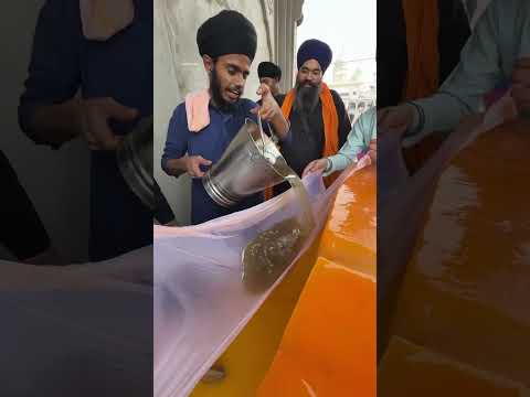 गुरु Arjan देवजी का शहीदी पे लाखो लोगो के लिए Sharbat🙏🏻❤️ Waheguru