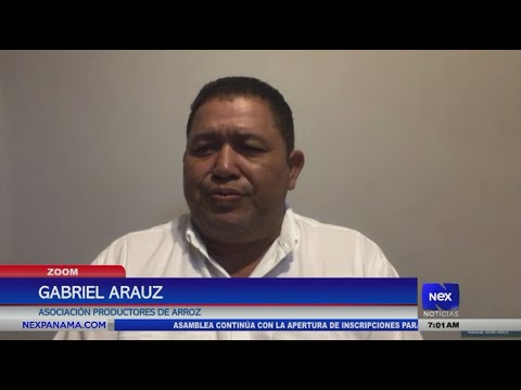 Gabriel Araúz nos habla de la situación de los productores de arroz con las lluvias en Chiriquí