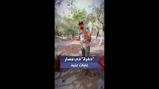 تحذير من حفرة عميقة جداً في غابات عنبة شمالي الأردن..