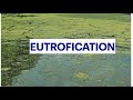 Eutrophication and Aquatic Ecosystems