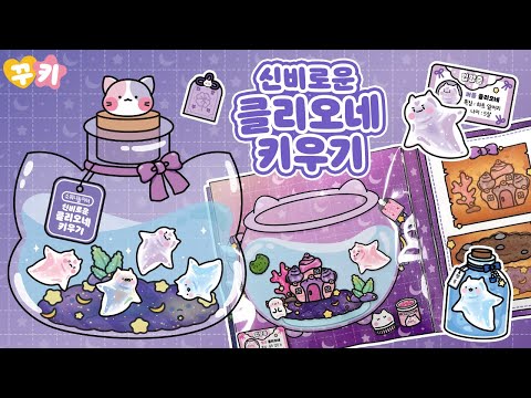 [ENG]👼신비로운 클리오네 키우기💜(스퀴시북 꾸키 놀이 도서)