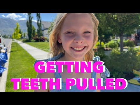 How Many Teeth Did Indie Have Pulled?