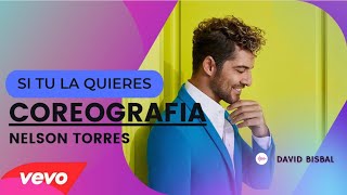 SI TU LA QUIERES DAVID BISBAL  VERSION SALSA COREOGRAFÍA | ZUMBA | NELSON TORRES | DANCEJNV11