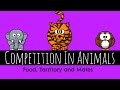 Animal Competition and Mating Strategies
