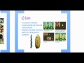 Artificial and Natural Selection Concepts